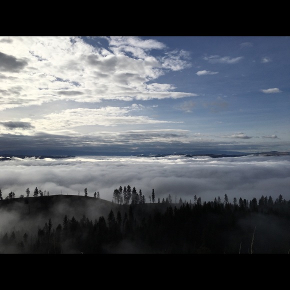 Meet your Posher, Hannah - Picture 2 of 4